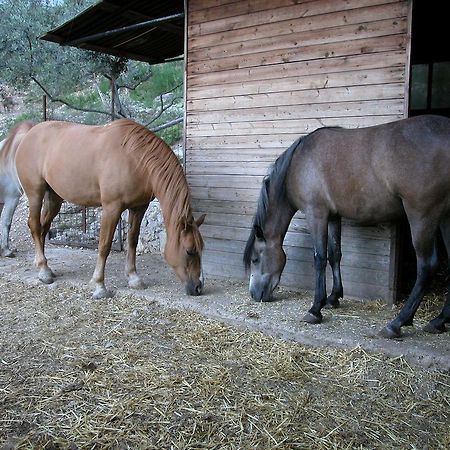 Agriturismo Istrice Innamorato Campello sul Clitunno Εξωτερικό φωτογραφία