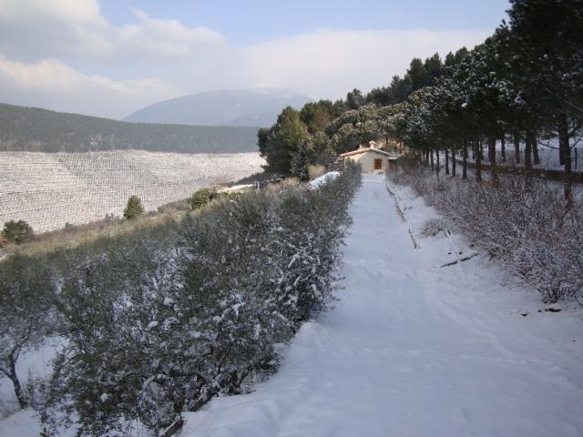 Agriturismo Istrice Innamorato Campello sul Clitunno Εξωτερικό φωτογραφία